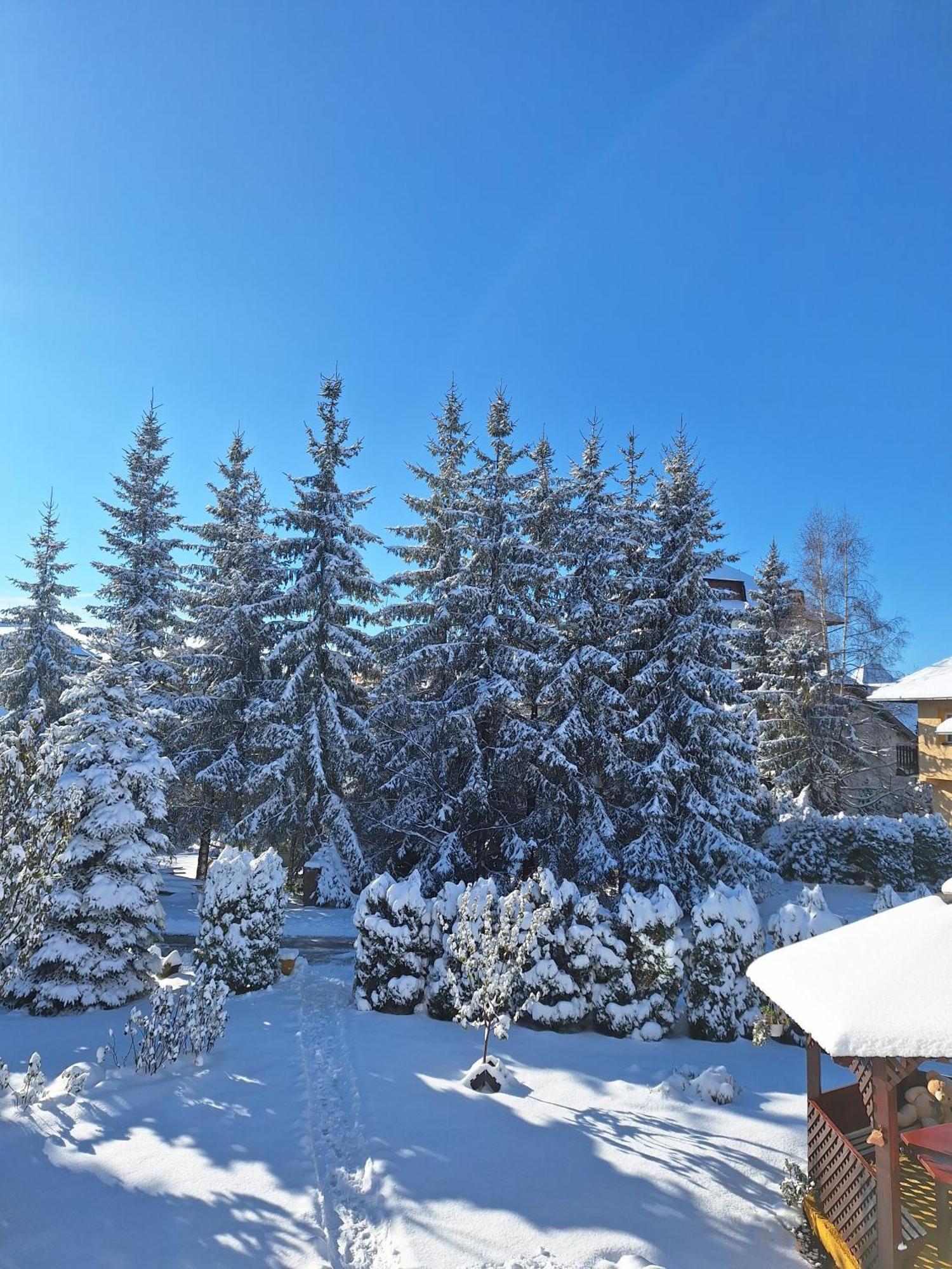 Apartmani Nika Zlatibor Exterior photo